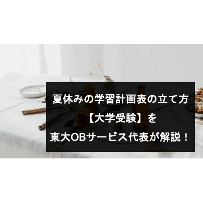 夏休みの学習計画表の立て方 【大学受験】を 東大OBサービス代表が解説！