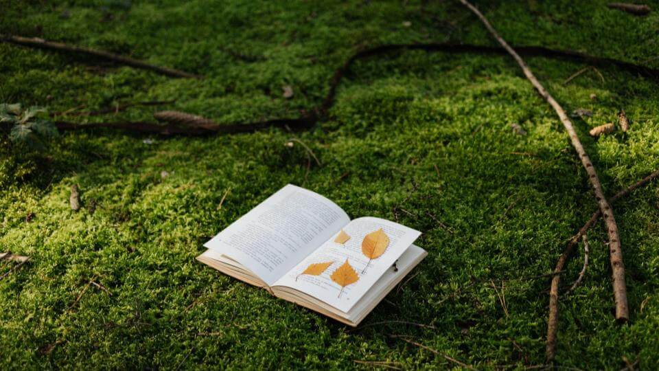 東大生オススメの英単語の覚え方！