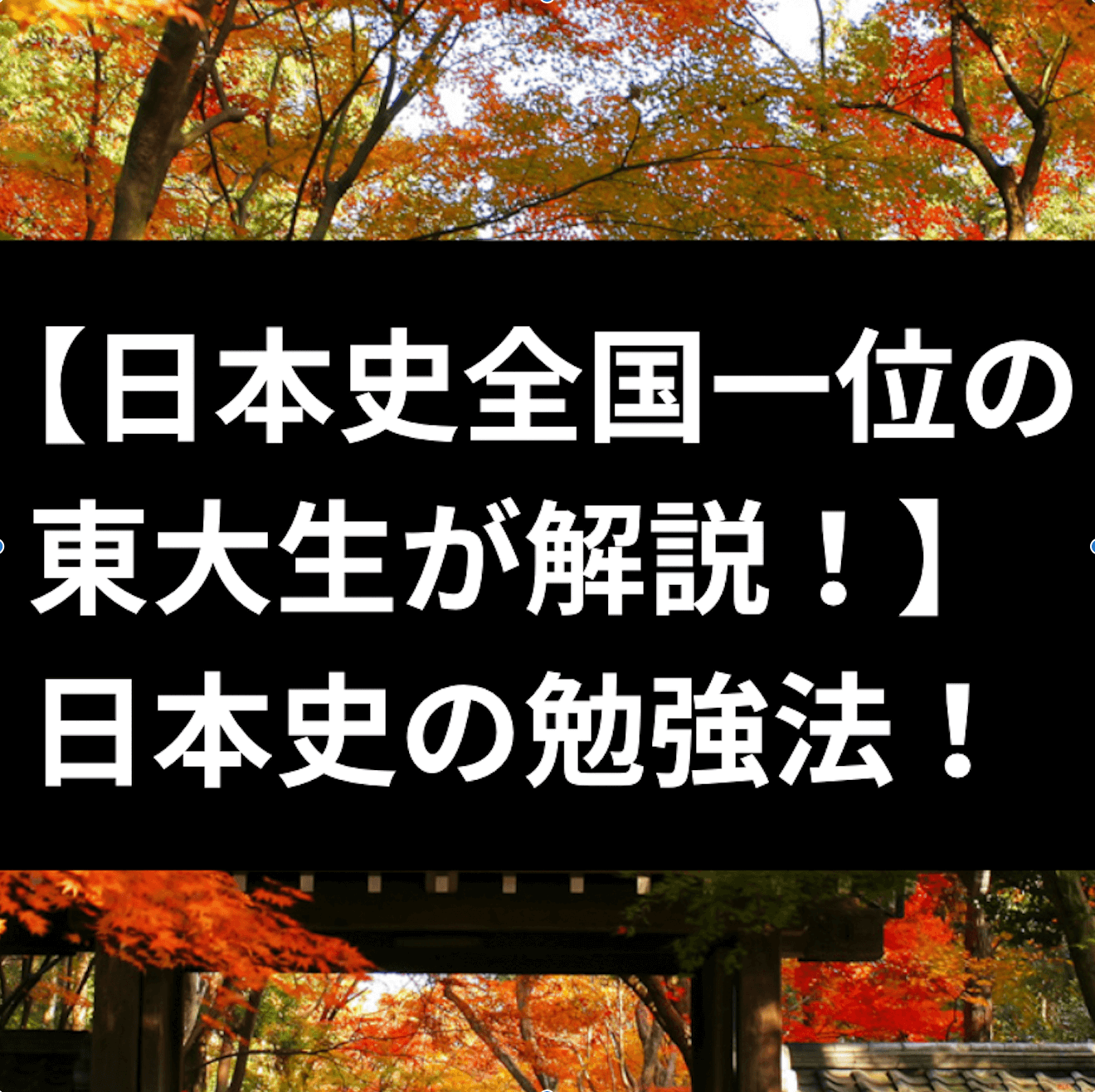 【日本史全国一位の東大生が解説！】日本史の勉強法！