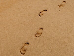 英語は日々の積み重ねが大事